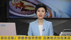 2026世界杯将创历史新高的预算